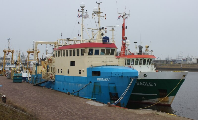 Foto 1 - Foto: Paul Schaap ©