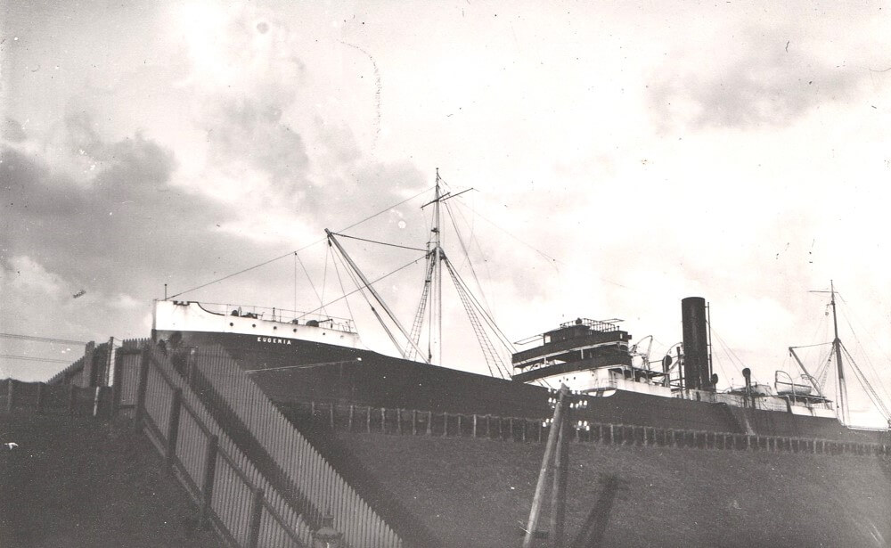 Het vrachtschip torent hoog boven de dijk uit