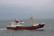 hd29